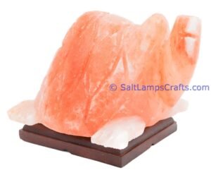 himalayanpinkrocksaltturtleanimalslampsnightlightdesklampsidetablesaltlampshomeofficedecorsaltlightauthenticpakistan03 Salt Lamps Crafts Manufacture and Exporter