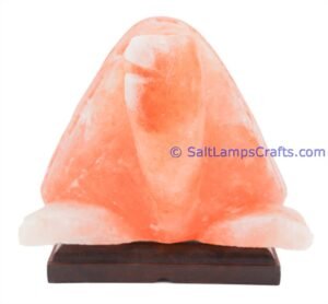 himalayanpinkrocksaltturtleanimalslampsnightlightdesklampsidetablesaltlampshomeofficedecorsaltlightauthenticpakistan04 Salt Lamps Crafts Manufacture and Exporter