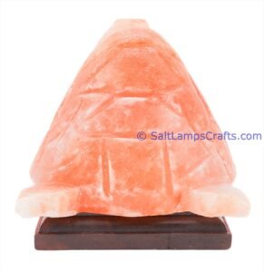 himalayanpinkrocksaltturtleanimalslampsnightlightdesklampsidetablesaltlampshomeofficedecorsaltlightauthenticpakistan05 Salt Lamps Crafts Manufacture and Exporter