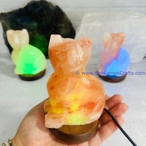 himalayansaltusblampsanimalsstatuerealwoodbasepinksaltcrystalsmulticolorledswithusbplugautocolorchangehealingmeditationrelaxation14 Salt Lamps Crafts Manufacture and Exporter