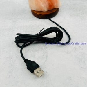 himalayansaltusblampsanimalsstatuerealwoodbasepinksaltcrystalsmulticolorledswithusbplugautocolorchangehealingmeditationrelaxation17 Salt Lamps Crafts Manufacture and Exporter