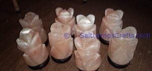 himalayansaltusblampsflowershaperealwoodbasepinksaltcrystalsmulticolorledswithusbplugautocolorchangehealingmeditationrelaxation02 Salt Lamps Crafts Manufacture and Exporter