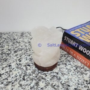himalayansaltusblampsflowershaperealwoodbasepinksaltcrystalsmulticolorledswithusbplugautocolorchangehealingmeditationrelaxation05 Salt Lamps Crafts Manufacture and Exporter