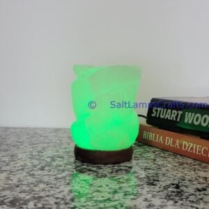 himalayansaltusblampsflowershaperealwoodbasepinksaltcrystalsmulticolorledswithusbplugautocolorchangehealingmeditationrelaxation08 Salt Lamps Crafts Manufacture and Exporter