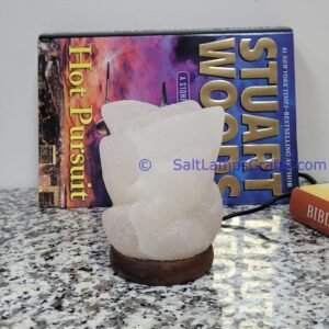 himalayansaltusblampsflowershaperealwoodbasepinksaltcrystalsmulticolorledswithusbplugautocolorchangehealingmeditationrelaxation09 Salt Lamps Crafts Manufacture and Exporter