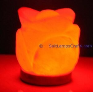 himalayansaltusblampsflowershaperealwoodbasepinksaltcrystalsmulticolorledswithusbplugautocolorchangehealingmeditationrelaxation13 Salt Lamps Crafts Manufacture and Exporter