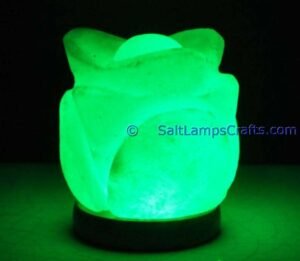 himalayansaltusblampsflowershaperealwoodbasepinksaltcrystalsmulticolorledswithusbplugautocolorchangehealingmeditationrelaxation14 Salt Lamps Crafts Manufacture and Exporter