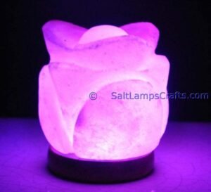 himalayansaltusblampsflowershaperealwoodbasepinksaltcrystalsmulticolorledswithusbplugautocolorchangehealingmeditationrelaxation15 Salt Lamps Crafts Manufacture and Exporter