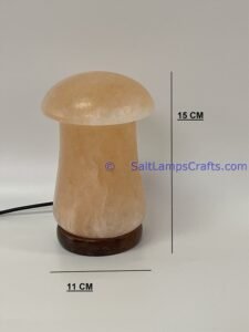 himalayansaltusblampsmushroomsshaperealwoodbasepinksaltcrystalsmulticolorledswithusbplugautocolorchangehealingmeditationrelaxation05 Salt Lamps Crafts Manufacture and Exporter
