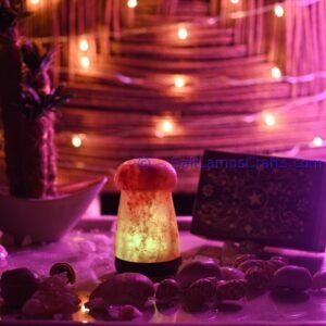 himalayansaltusblampsmushroomsshaperealwoodbasepinksaltcrystalsmulticolorledswithusbplugautocolorchangehealingmeditationrelaxation07 Salt Lamps Crafts Manufacture and Exporter