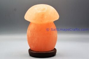 mushroomdesigncraftedhimalayansaltlampperfectfordesksidetablenightlighthomeoffice02 Salt Lamps Crafts Manufacture and Exporter