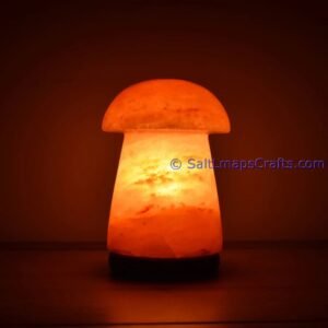 mushroomdesigncraftedhimalayansaltlampperfectfordesksidetablenightlighthomeoffice03 Salt Lamps Crafts Manufacture and Exporter