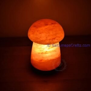 mushroomdesigncraftedhimalayansaltlampperfectfordesksidetablenightlighthomeoffice07 Salt Lamps Crafts Manufacture and Exporter